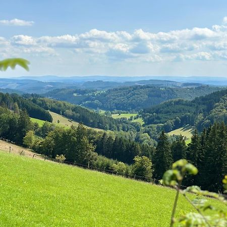 Ferienwohnung Up Willingen-Schwalefeld Willingen  Kültér fotó