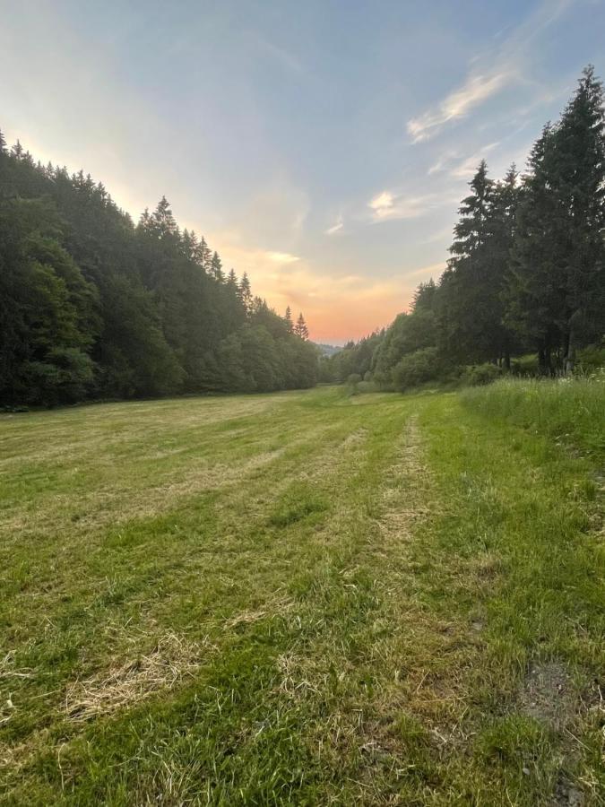 Ferienwohnung Up Willingen-Schwalefeld Willingen  Kültér fotó