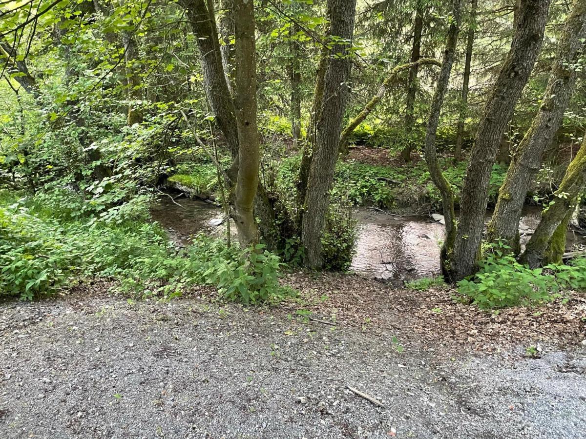 Ferienwohnung Up Willingen-Schwalefeld Willingen  Kültér fotó