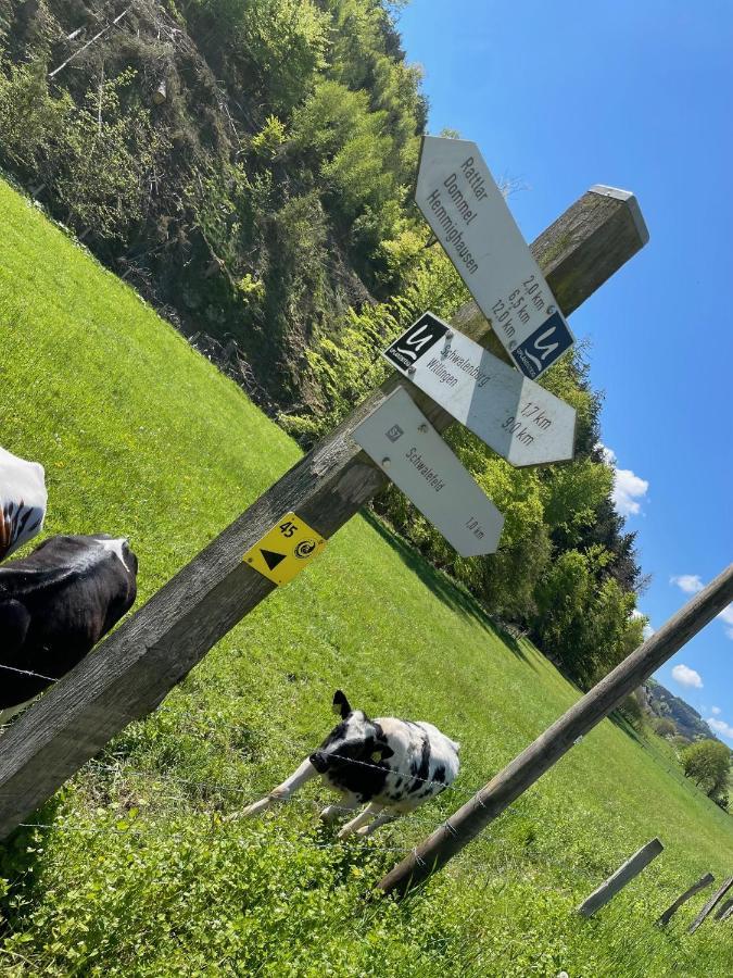 Ferienwohnung Up Willingen-Schwalefeld Willingen  Kültér fotó