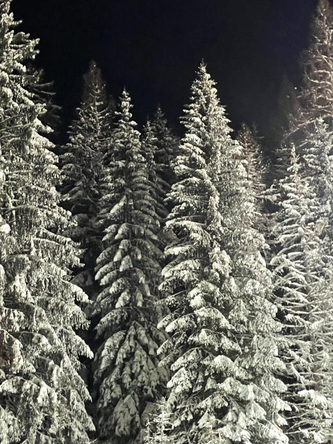 Ferienwohnung Up Willingen-Schwalefeld Willingen  Kültér fotó