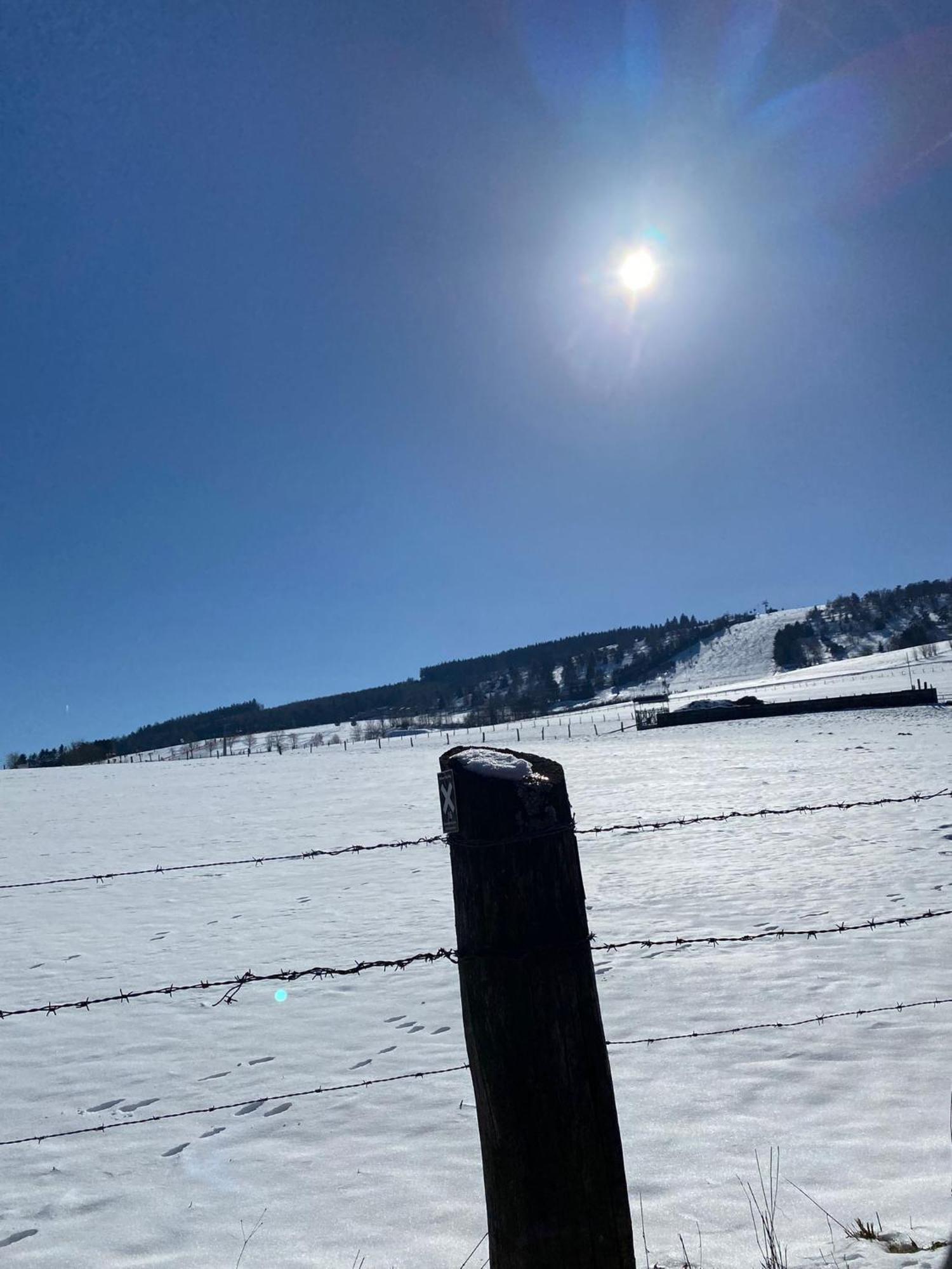 Ferienwohnung Up Willingen-Schwalefeld Willingen  Kültér fotó