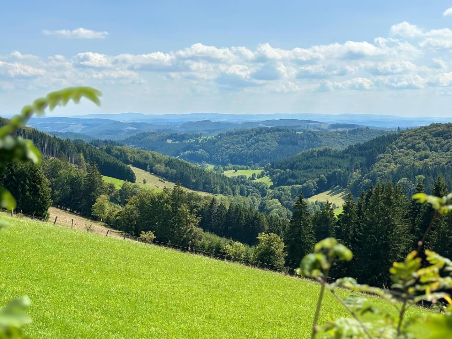 Ferienwohnung Up Willingen-Schwalefeld Willingen  Kültér fotó
